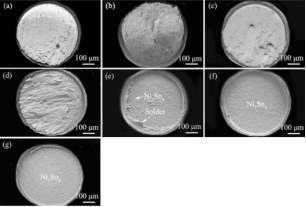 不同温度下Cu/SAC305/Ni焊点的断裂表面