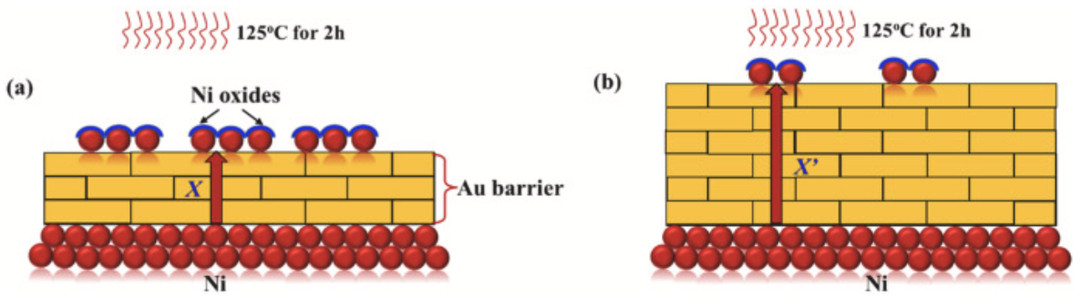 Ni扩散及氧化示意图