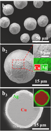 Cu@Ag颗粒放大图像